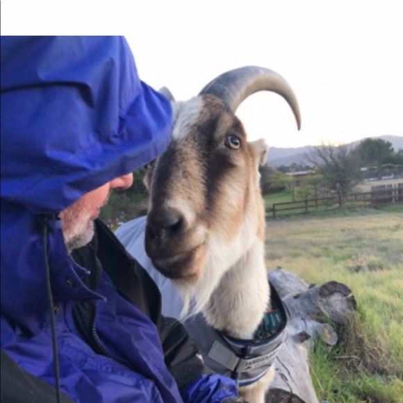 Hi! Thank you for visiting Shadowspond 😊😊😊 - Picture 11 of 16